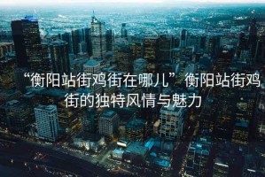 “衡陽站街雞街在哪兒”衡陽站街雞街的獨特風(fēng)情與魅力