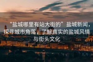 “鹽城哪里有站大街的”鹽城新聞，探尋城市角落，了解真實(shí)的鹽城風(fēng)情與街頭文化