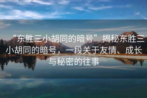 “東勝三小胡同的暗號”揭秘東勝三小胡同的暗號，一段關(guān)于友情、成長與秘密的往事
