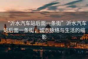 “沂水汽車站后面一條街”沂水汽車站后面一條街，城市脈絡(luò)與生活的縮影