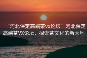 “河北保定高端茶vx論壇”河北保定高端茶VX論壇，探索茶文化的新天地