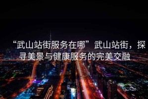 “武山站街服務在哪”武山站街，探尋美景與健康服務的完美交融