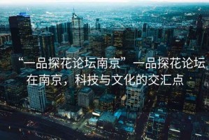 “一品探花論壇南京”一品探花論壇在南京，科技與文化的交匯點(diǎn)
