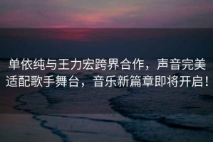 單依純與王力宏跨界合作，聲音完美適配歌手舞臺，音樂新篇章即將開啟！