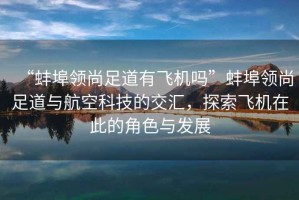 “蚌埠領(lǐng)尚足道有飛機嗎”蚌埠領(lǐng)尚足道與航空科技的交匯，探索飛機在此的角色與發(fā)展