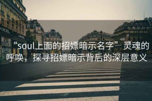 “soul上面的招嫖暗示名字”靈魂的呼喚，探尋招嫖暗示背后的深層意義