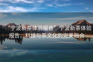 “寧波新茶體驗報告”寧波新茶體驗報告，科技與茶文化的完美融合