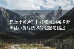 “黑絲小黃片”科技領(lǐng)域的新探索，黑絲小黃片技術(shù)的崛起與挑戰(zhàn)