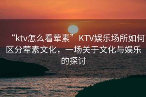 “ktv怎么看葷素”KTV娛樂場所如何區(qū)分葷素文化，一場關于文化與娛樂的探討
