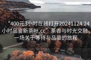 “400元3小時(shí)在線打開20241124.24小時(shí)品鑒新茶葉.cc”茶香與時(shí)光交融，一場關(guān)于等待與品鑒的旅程