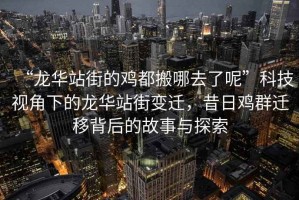 “龍華站街的雞都搬哪去了呢”科技視角下的龍華站街變遷，昔日雞群遷移背后的故事與探索