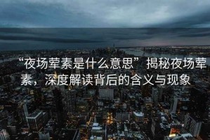 “夜場葷素是什么意思”揭秘夜場葷素，深度解讀背后的含義與現(xiàn)象