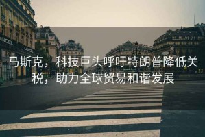 馬斯克，科技巨頭呼吁特朗普降低關稅，助力全球貿(mào)易和諧發(fā)展