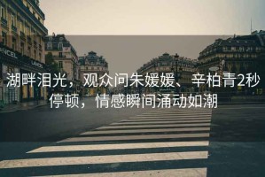 湖畔淚光，觀眾問朱媛媛、辛柏青2秒停頓，情感瞬間涌動如潮