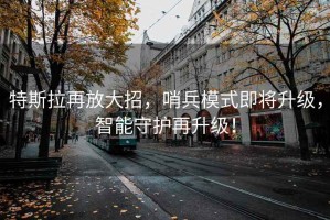 特斯拉再放大招，哨兵模式即將升級，智能守護(hù)再升級！