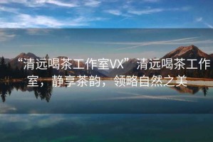 “清遠喝茶工作室VX”清遠喝茶工作室，靜享茶韻，領略自然之美