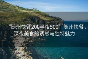 “隨州快餐200半夜500”隨州快餐，深夜美食的誘惑與獨(dú)特魅力