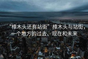“樟木頭還有站街”樟木頭與站街，一個(gè)地方的過去、現(xiàn)在和未來