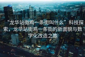 “龍華站街雞一條街叫什么”科技探索，龍華站街雞一條街的新面貌與數(shù)字化改造之旅