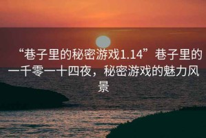 “巷子里的秘密游戲1.14”巷子里的一千零一十四夜，秘密游戲的魅力風(fēng)景