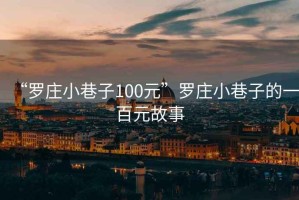 “羅莊小巷子100元”羅莊小巷子的一百元故事