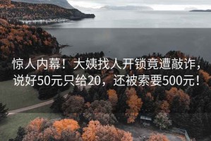 驚人內幕！大姨找人開鎖竟遭敲詐，說好50元只給20，還被索要500元！
