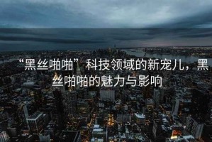 “黑絲啪啪”科技領(lǐng)域的新寵兒，黑絲啪啪的魅力與影響