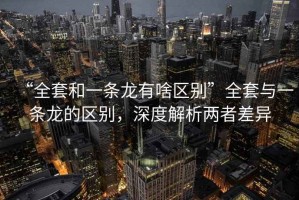 “全套和一條龍有啥區(qū)別”全套與一條龍的區(qū)別，深度解析兩者差異