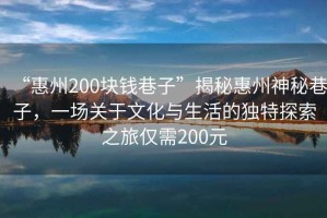 “惠州200塊錢巷子”揭秘惠州神秘巷子，一場關于文化與生活的獨特探索之旅僅需200元
