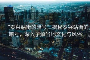 “泰興站街的暗號”揭秘泰興站街的暗號，深入了解當(dāng)?shù)匚幕c風(fēng)俗