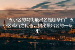 “五小區(qū)的雞街最出名是哪條街”五小區(qū)雞街之傳奇，揭秘最出名的一條街