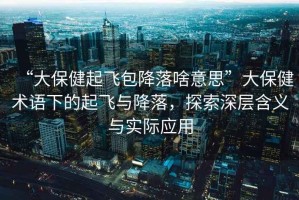 “大保健起飛包降落啥意思”大保健術(shù)語下的起飛與降落，探索深層含義與實際應(yīng)用