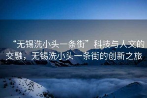 “無錫洗小頭一條街”科技與人文的交融，無錫洗小頭一條街的創(chuàng)新之旅