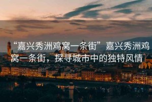“嘉興秀洲雞窩一條街”嘉興秀洲雞窩一條街，探尋城市中的獨(dú)特風(fēng)情