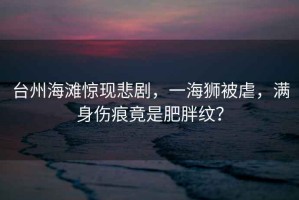 臺州海灘驚現(xiàn)悲劇，一海獅被虐，滿身傷痕竟是肥胖紋？