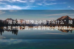 “陵水英洲鎮(zhèn)晚上小巷子叫什么”陵水英洲鎮(zhèn)之夜，探索神秘小巷的魅力
