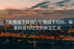 “東莞線下可約”東莞線下可約，探索科技與社交的新交匯點(diǎn)