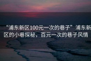 “浦東新區(qū)100元一次的巷子”浦東新區(qū)的小巷探秘，百元一次的巷子風(fēng)情