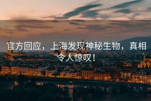 官方回應，上海發(fā)現(xiàn)神秘生物，真相令人驚嘆！