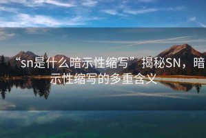 “sn是什么暗示性縮寫”揭秘SN，暗示性縮寫的多重含義
