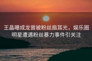王晶曝成龍?jiān)环劢z扇耳光，娛樂圈明星遭遇粉絲暴力事件引關(guān)注