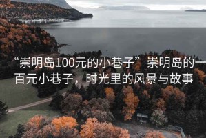 “崇明島100元的小巷子”崇明島的一百元小巷子，時光里的風(fēng)景與故事