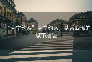 “南寧約茶”南寧約茶，茶香四溢的城市邂逅