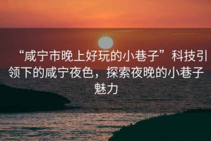 “咸寧市晚上好玩的小巷子”科技引領(lǐng)下的咸寧夜色，探索夜晚的小巷子魅力