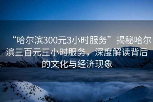 “哈爾濱300元3小時服務(wù)”揭秘哈爾濱三百元三小時服務(wù)，深度解讀背后的文化與經(jīng)濟現(xiàn)象