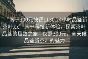 “南寧300元快餐1130.24小時品鑒新茶葉.cc”南寧科技新體驗，探索茶葉品鑒的極致之旅—僅需300元，全天候品鑒新茶葉的魅力