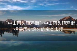 “中山南頭鎮(zhèn)雞街”中山南頭鎮(zhèn)雞街，探尋歷史悠久的禽類市場