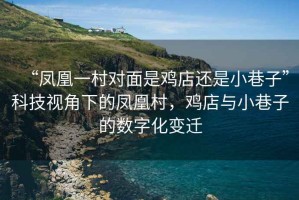 “鳳凰一村對面是雞店還是小巷子”科技視角下的鳳凰村，雞店與小巷子的數(shù)字化變遷