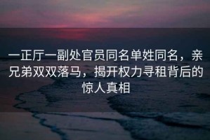 一正廳一副處官員同名單姓同名，親兄弟雙雙落馬，揭開權力尋租背后的驚人真相