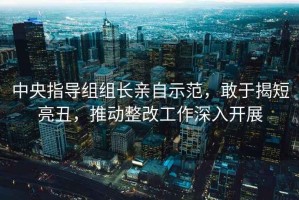 中央指導(dǎo)組組長親自示范，敢于揭短亮丑，推動整改工作深入開展